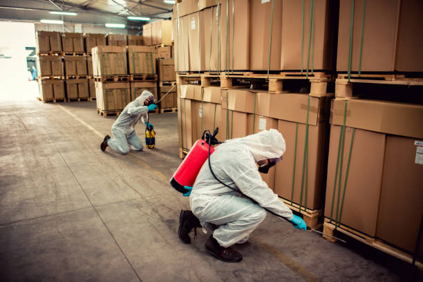 Best Pest Removal Services  in Elk River, MN