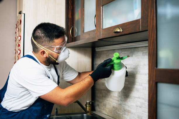 Best Commercial Pest Control Services  in Elk River, MN