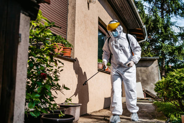 Best Local Pest Control Services  in Elk River, MN