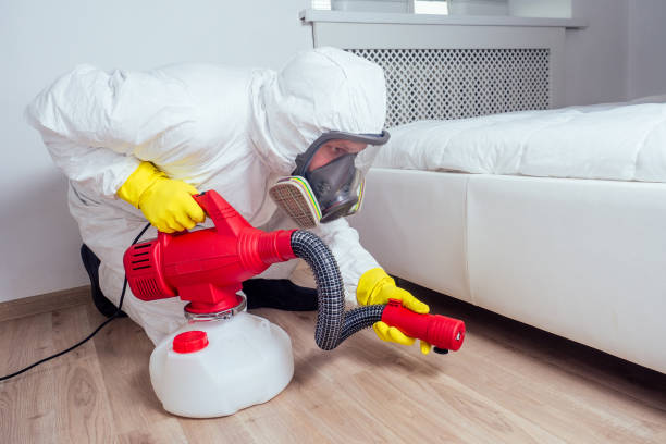 Best Exterminator Services  in Elk River, MN