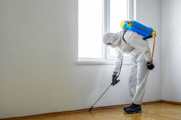 Best Rat Extermination Near Me  in Elk River, MN