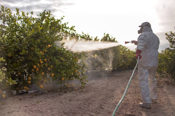 Best Affordable Pest Control Services  in Elk River, MN