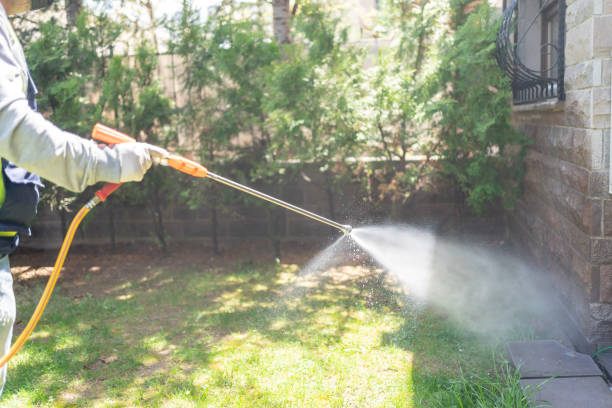 Best Ant Control Services  in Elk River, MN