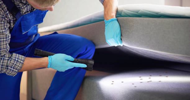 Best Mosquito Control Services  in Elk River, MN