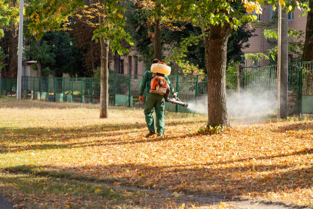 Best Affordable Pest Control Services  in Elk River, MN