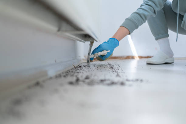 Best Best Pest Control Companies  in Elk River, MN